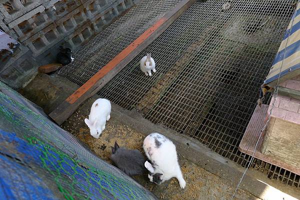 P1220389.JPG P1220389.JPG