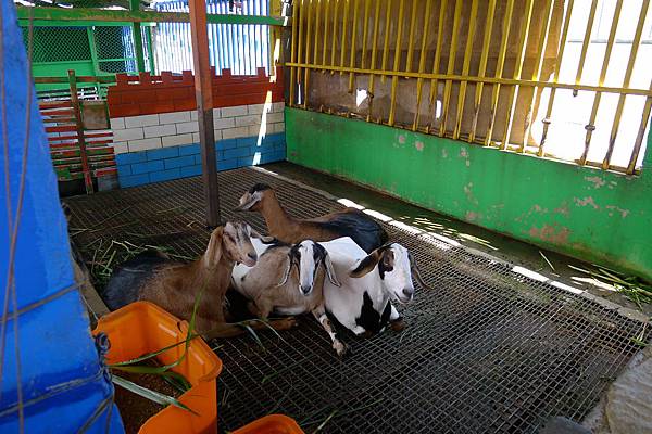 P1220393.JPG P1220393.JPG