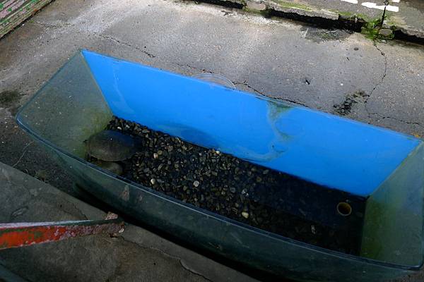 P1220394.JPG P1220394.JPG