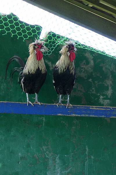 P1220395.JPG P1220395.JPG