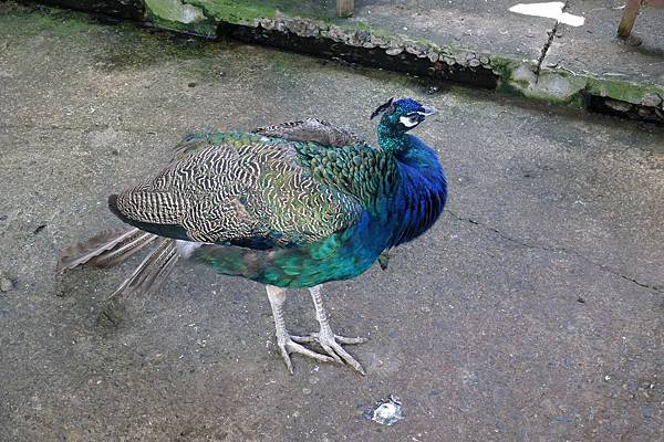 P1220396.JPG P1220396.JPG