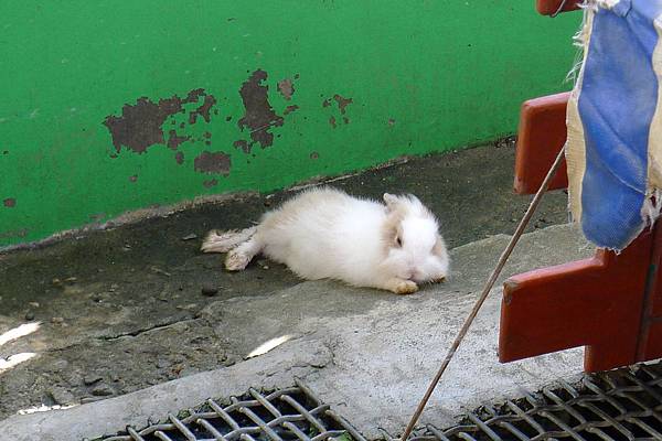 P1220400.JPG P1220400.JPG