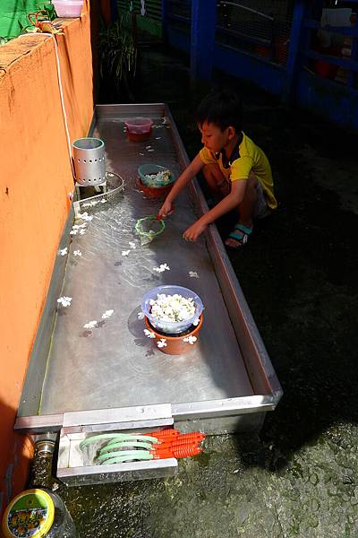 P1220404.JPG P1220404.JPG