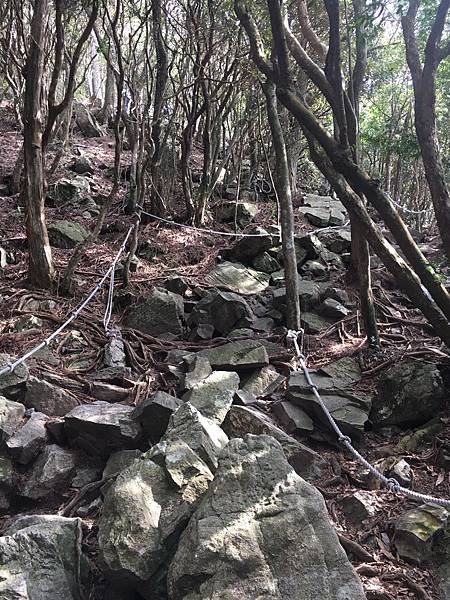 IMG_1387.JPG IMG_1387.JPG