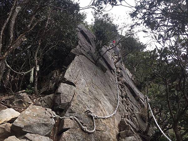 IMG_1388.JPG IMG_1388.JPG