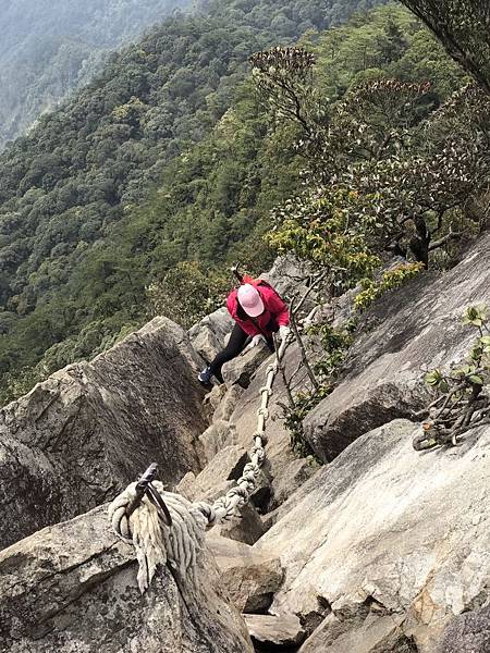 IMG_1397.JPG IMG_1397.JPG