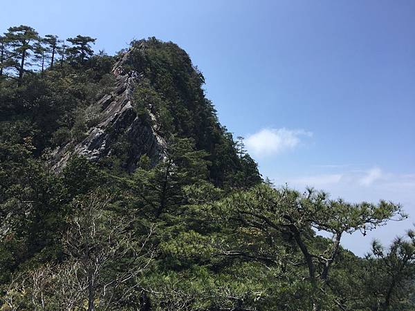 IMG_5828.JPG IMG_5828.JPG