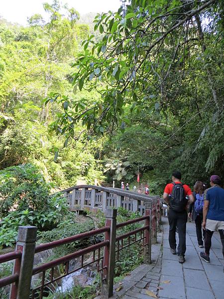 IMG_0200.JPG IMG_0200.JPG