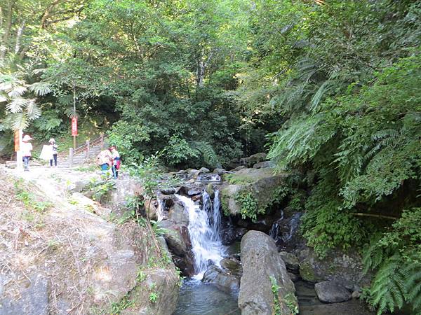 IMG_0202.JPG IMG_0202.JPG