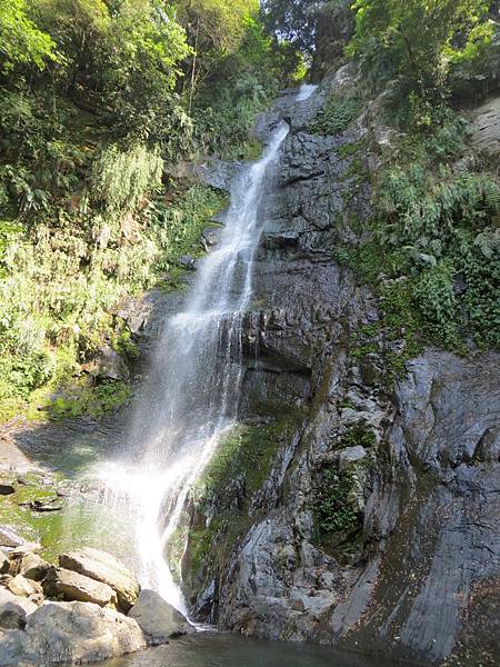 IMG_0214.JPG IMG_0214.JPG