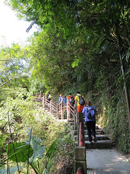 IMG_0218.JPG IMG_0218.JPG