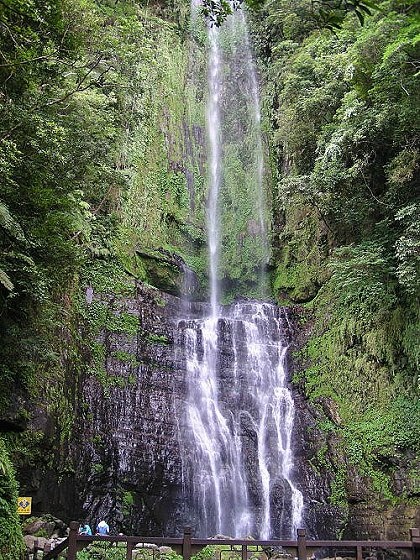 20050629_11.JPG 20050629_11.JPG