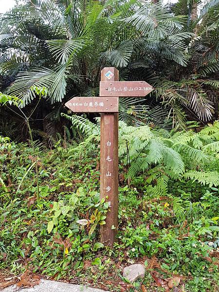 20180307_085740.jpg 20180307_085740.jpg