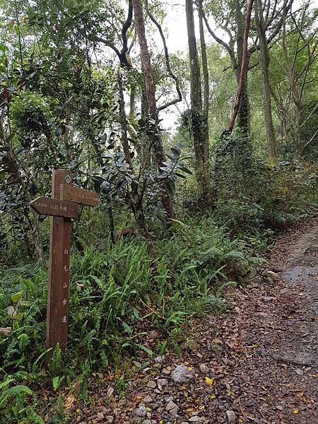 20180307_090249.jpg 20180307_090249.jpg