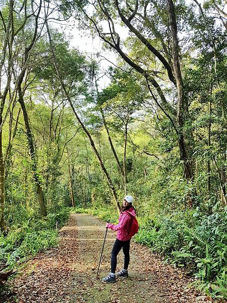 20180307_161436-01.jpeg 20180307_161436-01.jpeg