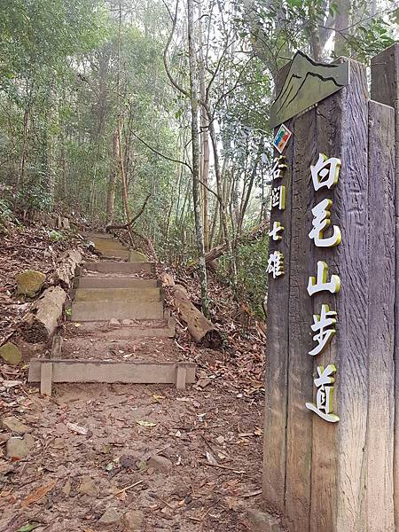 20180307_094042.jpg 20180307_094042.jpg