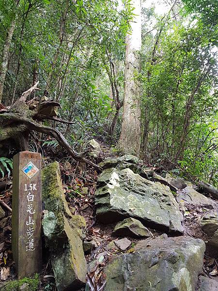 20180307_110932.jpg 20180307_110932.jpg