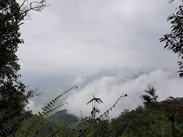 20180307_111934.jpg 20180307_111934.jpg