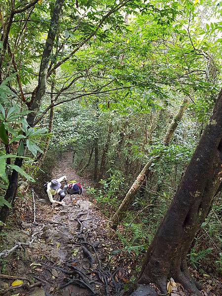 20180307_111601.jpg 20180307_111601.jpg