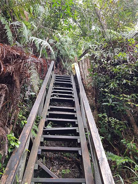 20180307_111830.jpg 20180307_111830.jpg