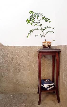 20180406_121940-01.jpeg 20180406_121940-01.jpeg