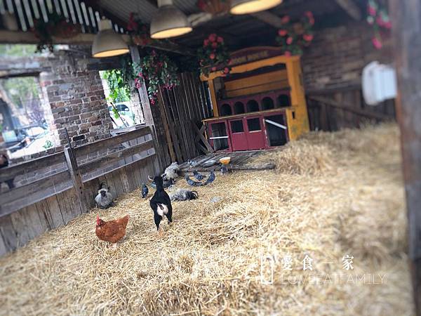 The Grounds of Alexandria,冰雪奇緣,主題咖啡廳,網紅咖啡廳, The Grounds of Alexandria,冰雪奇緣,主題咖啡廳,網紅咖啡廳,