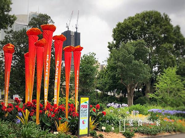 雪梨市區皇家植物園 雪梨市區皇家植物園