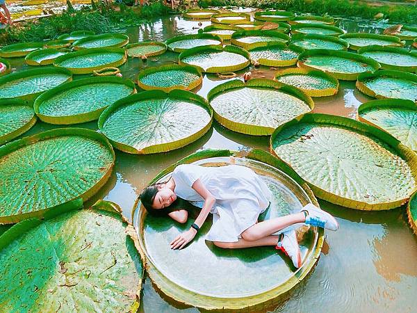 S__103530512.jpg S__103530512.jpg