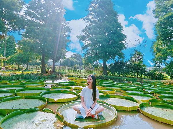 S__103530514.jpg S__103530514.jpg