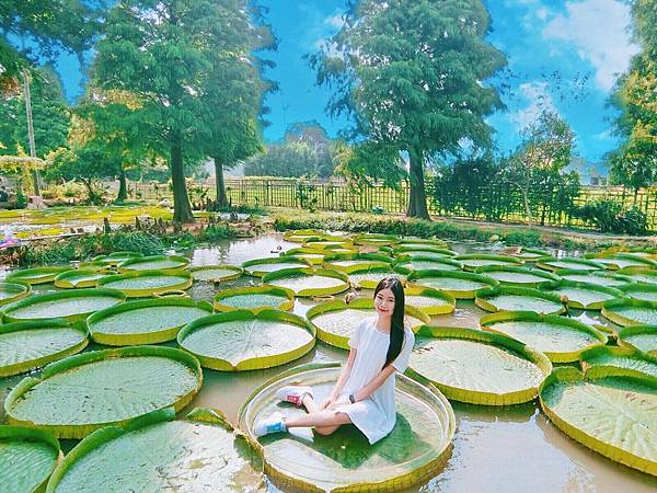 S__103530513.jpg S__103530513.jpg