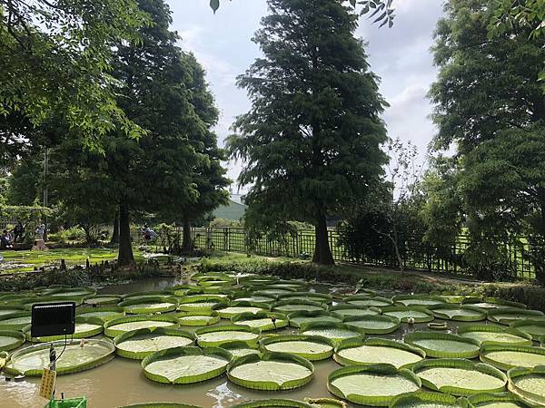 S__103530520.jpg S__103530520.jpg