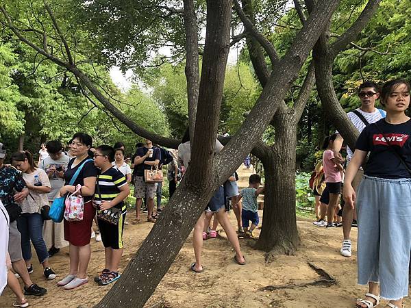 S__103530523.jpg S__103530523.jpg