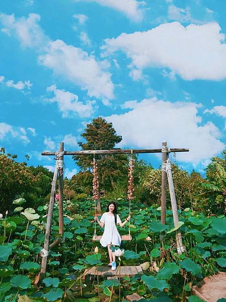 S__103464967.jpg S__103464967.jpg