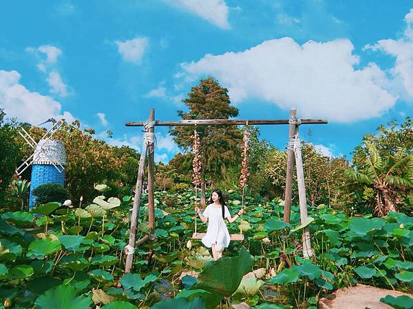 S__103547025.jpg S__103547025.jpg