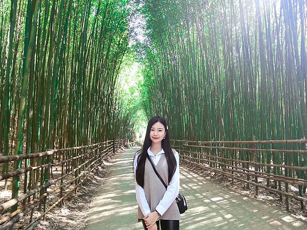 S__107667651.jpg S__107667651.jpg