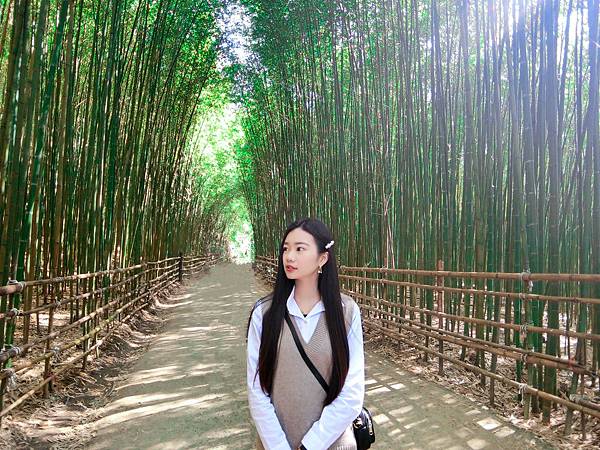 S__107667652.jpg S__107667652.jpg