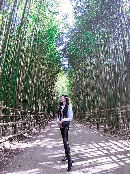 S__107667650.jpg S__107667650.jpg