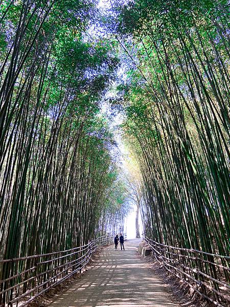 S__107667654.jpg S__107667654.jpg