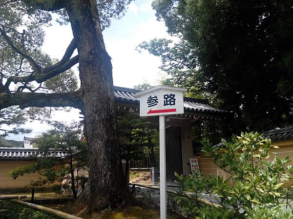 IMG_20150713_115417370