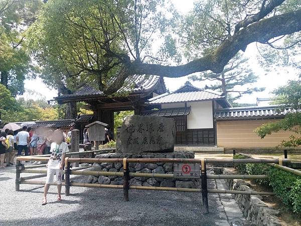 IMG_20150713_115424308