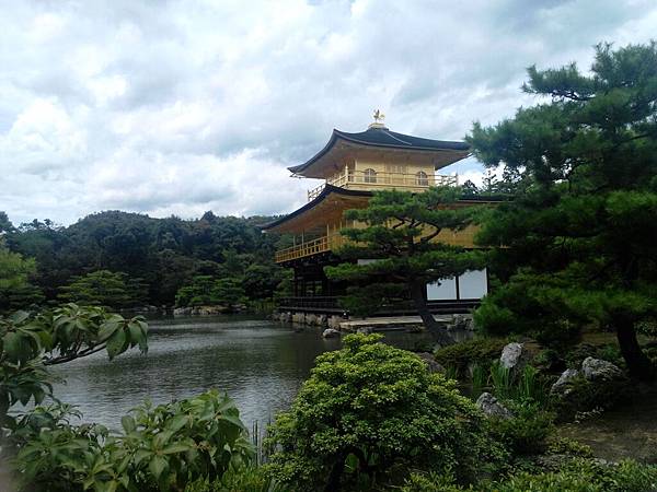 IMG_20150713_120902734