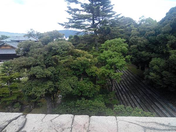 IMG_20150713_152620772