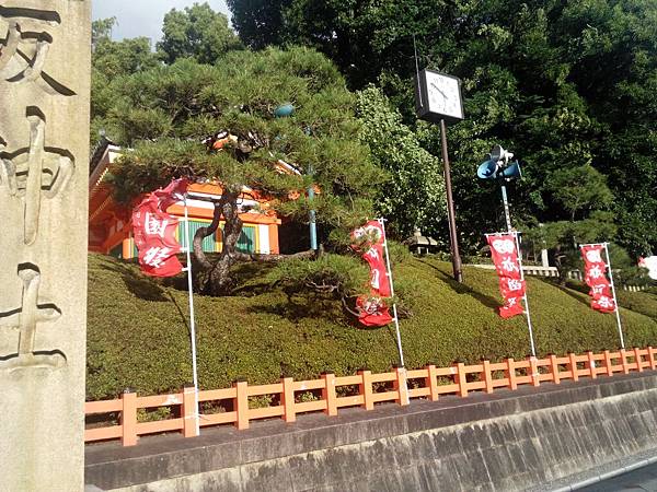 IMG_20150713_175554707