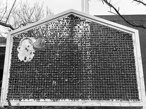 S__26157064 S__26157064