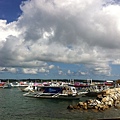 IMG_6357.jpg