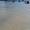 IMG_6287.jpg