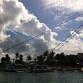 IMG_6351.jpg