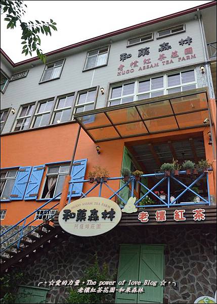 森林1 森林1