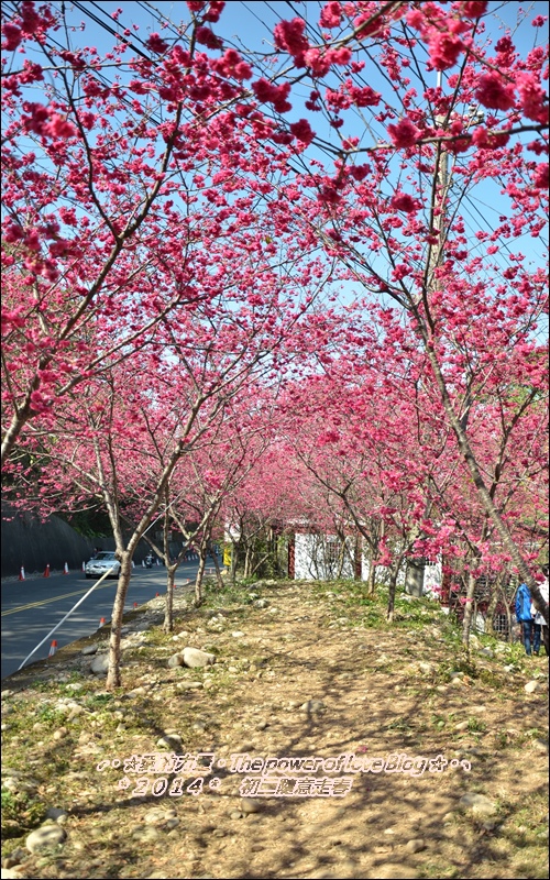 草莓5.jpg 草莓5.jpg