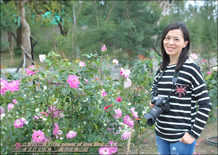 蘿莎1.jpg 蘿莎1.jpg